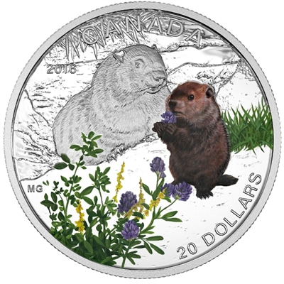 2016 Canada $20 Baby Animals - The Woodchuck Fine Silver (No Tax)