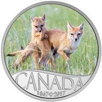 2017 $10 Celebrating Canada's 150th - Wild Swift Fox and Pups (No Tax)