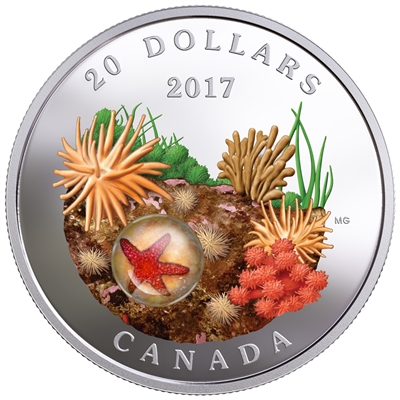 2017 Canada $20 Under the Sea - Sea Star Fine Silver Coin