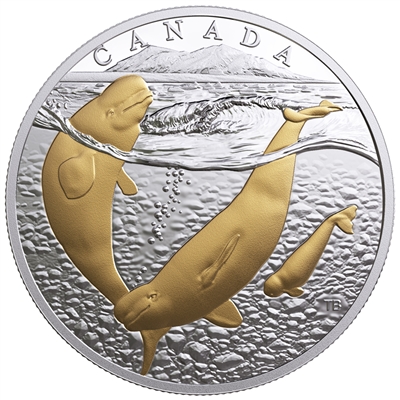 2018 Canada $20 From Sea to Sea - Arctic Beluga Whale Gold-Plated Silver (No Tax)