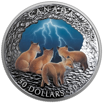 RDC 2018 Canada $50 Nature's Light Show - Stormy Night Silver (No Tax) scuff