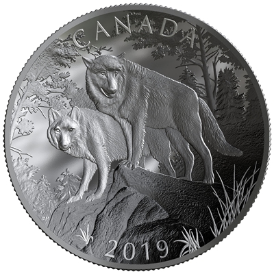 2019 Canada $100 Double Concave Coin Nature's Grandeur: Wolves Fine Silver (No Tax)