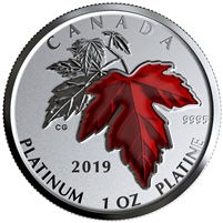 2019 Canada $300 Maple Leaf Forever Pure Platinum (No Tax)