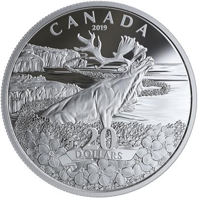 RDC 2019 Canada $20 Forget-Me-Not Fine Silver (No Tax) impaired