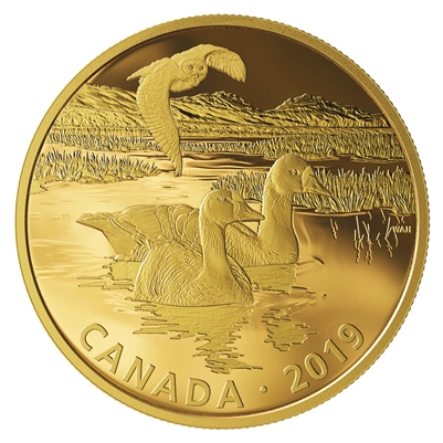 2019 Canada $30 Golden Reflections Predator & Prey Snowy Owl & Geese (No Tax)