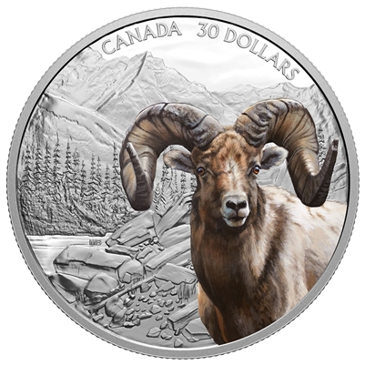 2020 Canada $30 Imposing Icons: Bighorn Sheep Fine Silver Coin (No Tax)