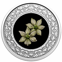 2020 $3 Floral Emblems of Canada - British Columbia Pacific Dogwood Silver (No Tax)