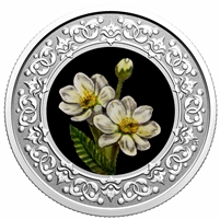 2021 $3 Floral Emblems of Canada - Northwest Territories - Mountain Avens (No Tax)