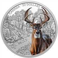 2021 Canada $30 Imposing Icons - White-Tailed Deer Fine Silver Coin (No Tax)
