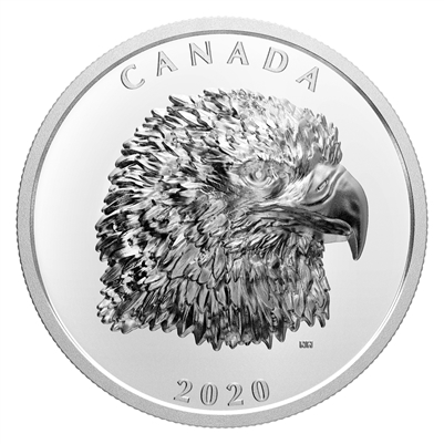 2020 Canada $25 Proud Bald Eagle Fine Silver Coin (TAX Exempt)