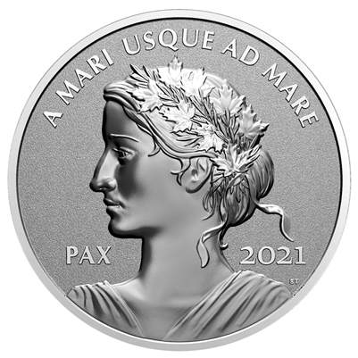 2021 Canada $1 Peace Dollar Fine Silver (TAX Exempt) slight dent in sleeve