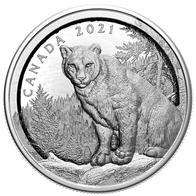 2021 Canada $50 Multilayered Cougar Fine Silver Coin (No Tax)