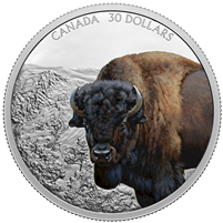 2021 Canada $30 Imposing Icons - Bison Fine Silver (No Tax)