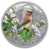 2022 Canada $20 Colourful Birds: Cedar Waxwing Fine Silver (No Tax)