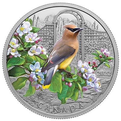 2022 Canada $20 Colourful Birds: Cedar Waxwing Fine Silver (No Tax)
