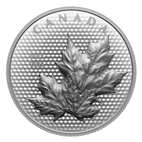 2023 Canada $50 Maple Leaves in Motion Fine Silver Coin (No Tax)