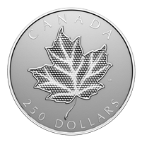 2024 Canada $250 Pulsating Maple Leaf Fine Silver Kilo Coin (No Tax)