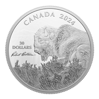 2024 Canada $30 Weather Watch - Bison by Robert Bateman Fine Silver (No Tax)