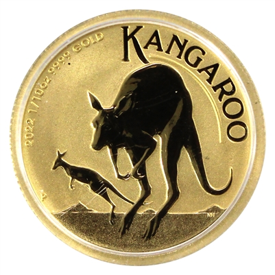 2022 Australia $15 Kangaroo 1/10oz .9999 Gold (No Tax) Oversized Capsule scratched