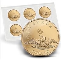 2012 Canada $1 Lucky Loonie 5-coin Circulation Pack