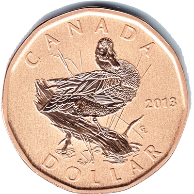 2013 Canada Blue-Winged Teal Dollar Specimen