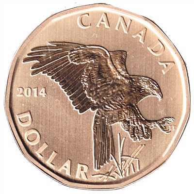 2014 Canada Ferruginous Hawk Dollar Specimen