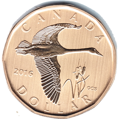 2016 Canada Tundra Swan Dollar Specimen