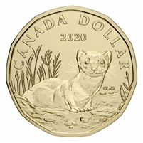 2020 Black Footed Ferret Canada Loon Dollar Specimen