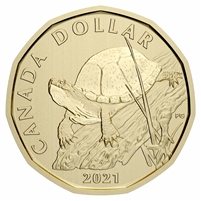 2021 Blanding Turtle Canada Loon Dollar Specimen