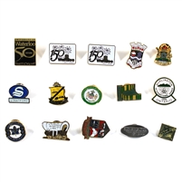 Lot of 15x Cities/Places/Townships Pins, 15Pcs (1x Duplicate)