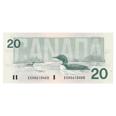 BC-58a 1991 Canada $20 Thiessen-Crow, ESH, AU-UNC