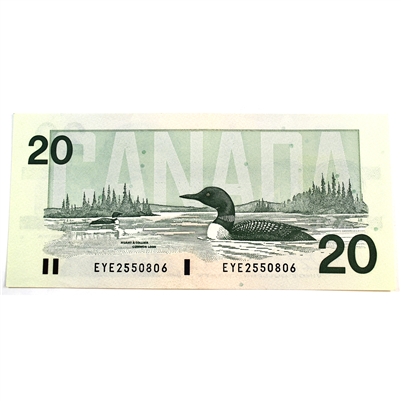 BC-58d 1991 Canada $20 Knight-Dodge, EYE, AU