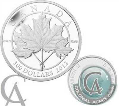 2012 Canada $300 Maple Leaf Forever Platinum Coin (TAX Exempt) Creased Box