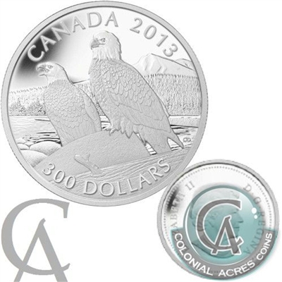 2013 Canada $300 Bald Eagle Platinum Coin (TAX Exempt) Worn Box