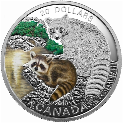 RDC 2016 Canada $20 Baby Animals - Baby Raccoon Fine Silver (No Tax) worn sleeve