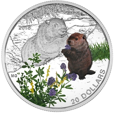 RDC 2016 Canada $20 Baby Animals - The Woodchuck Fine Silver (No Tax) scratched capsule