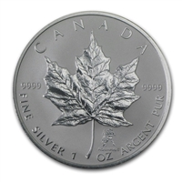 2004 Canada Aquarius Privy 1oz. Silver Maple Leaf (TAX Exempt) Lightly toned