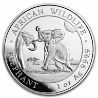 2024 Somali Republic 100 Shillings Elephant 1oz. .9999 Silver (No Tax) Lightly Toned