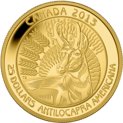 2013 Canada $25 Pronghorn Pure Gold Coin (TAX Exempt) - 123225