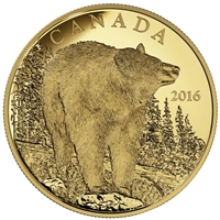 2016 Canada $350 The Bold Black Bear Pure Gold Coin (No Tax)