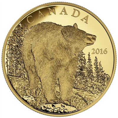 2016 Canada $350 The Bold Black Bear Pure Gold Coin (No Tax)
