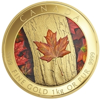2016 Canada $2,500 Maple Leaf Forever Pure Gold Coin (No Tax) 153309