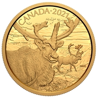 2021 $350 Canadian Wildlife Portraits: The Caribou Pure Gold (No Tax)