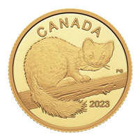 2023 Canada $10 The Curious Marten  1/20oz. Pure Gold Coin (No Tax)