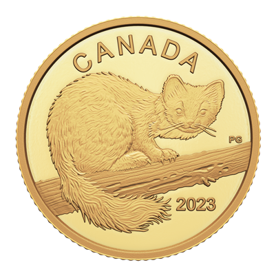2023 Canada $10 The Curious Marten  1/20oz. Pure Gold Coin (No Tax)