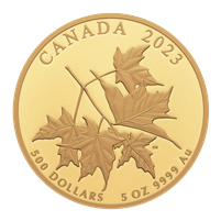 2023 Canada $500 Beloved Maple Leaves Pure Gold Coin (No Tax)