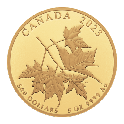 2023 Canada $500 Beloved Maple Leaves Pure Gold Coin (No Tax)