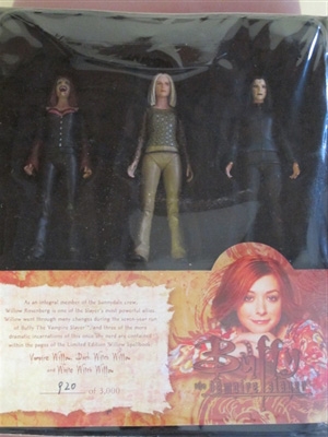 Buffy the Vampire Slayer- Willow's Spellbook