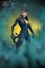 Batman- Arkham City Catwoman