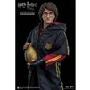 Harry Potter Goblet of Fire (Triwizard)  SA0008 Star Ace Toys